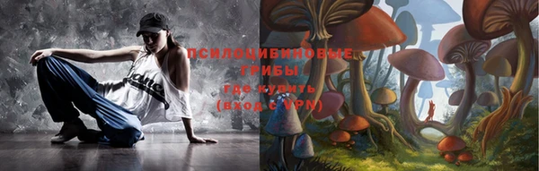 спайс Пересвет