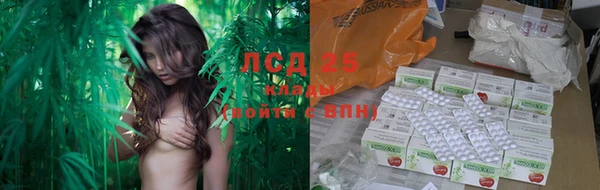 спайс Пересвет