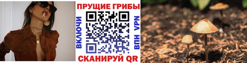 купить наркоту  Кондрово  Галлюциногенные грибы Magic Shrooms 